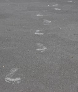 Footsteps!