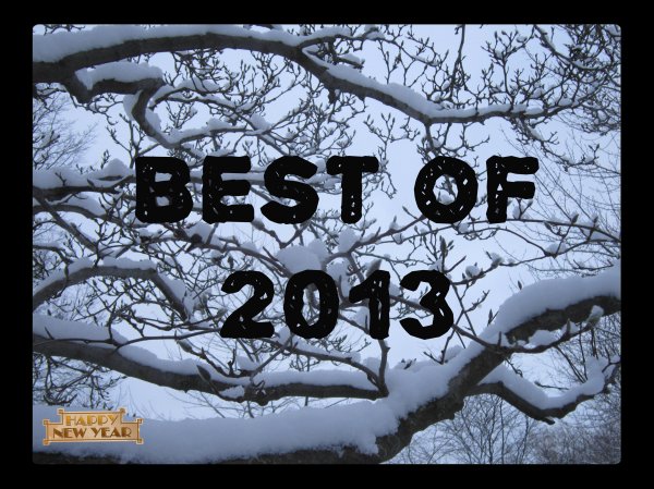 best of 2013