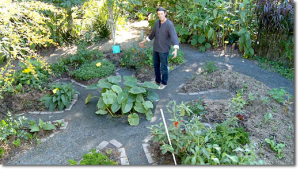 Image source: permaculturenews.org