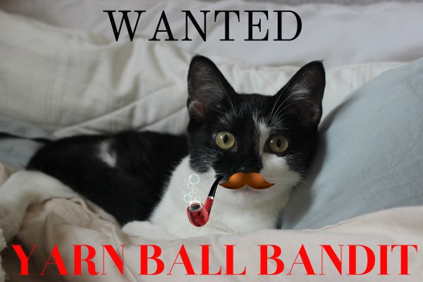 yarn ball bandit pipe