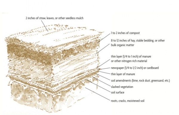 Diagram from Toby Hemenway's book Gaia's Garden.