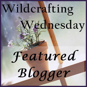 WW-Featured-Blogger-Award-Button-square2