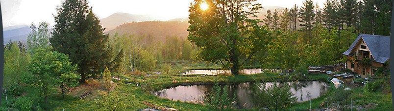 header_11-12-studio-land-ponds