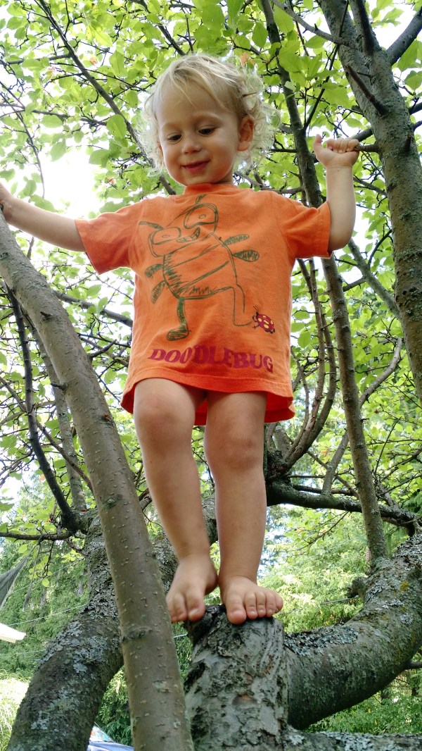 IMG_20160806_112813725 (1)