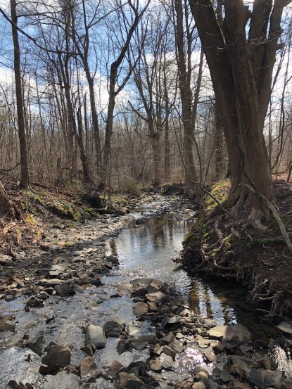 UNADJUSTEDNONRAW_thumb_4f56